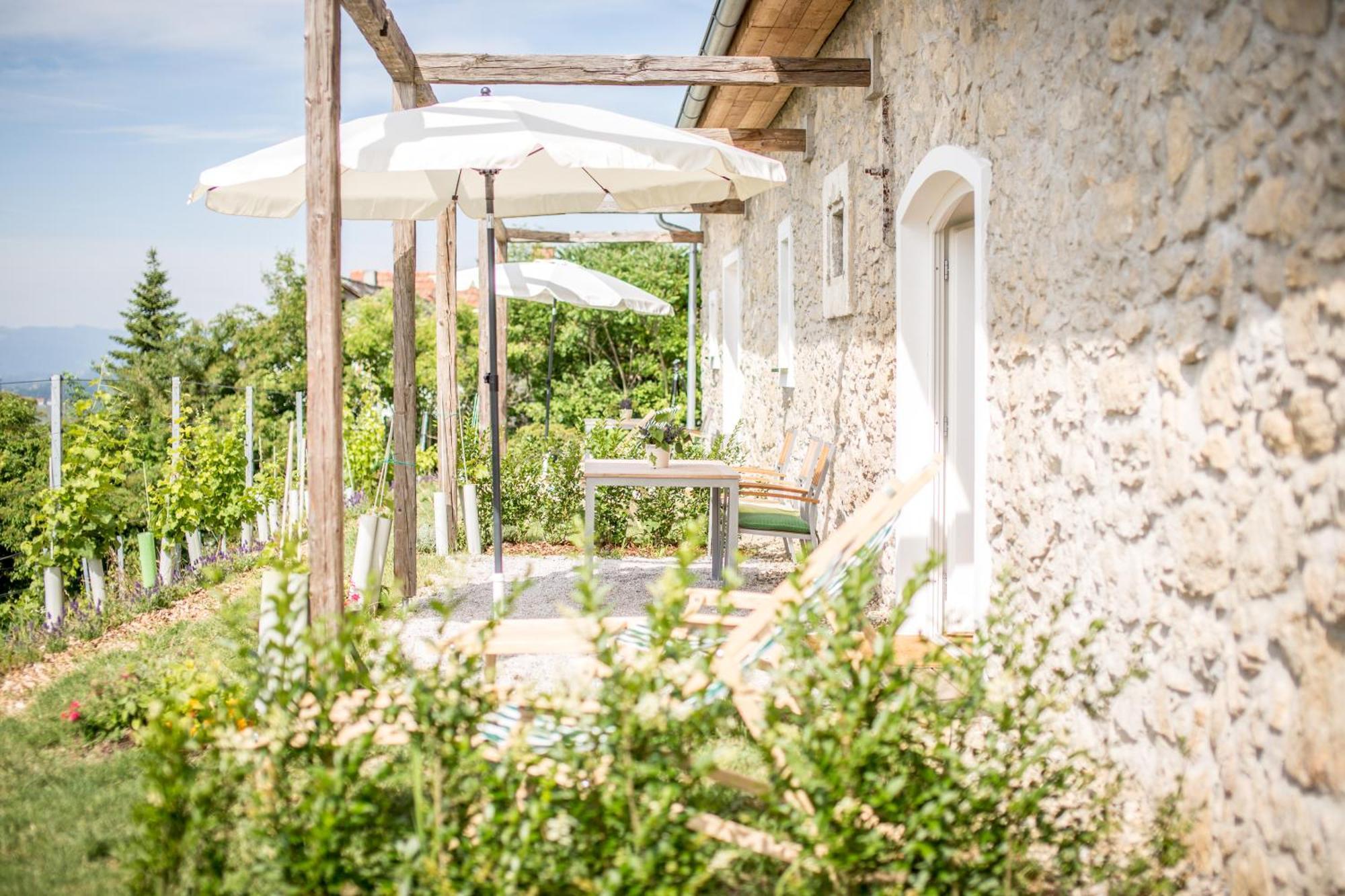 Berghausen Winzarei, Weingut Tementヴィラ 部屋 写真