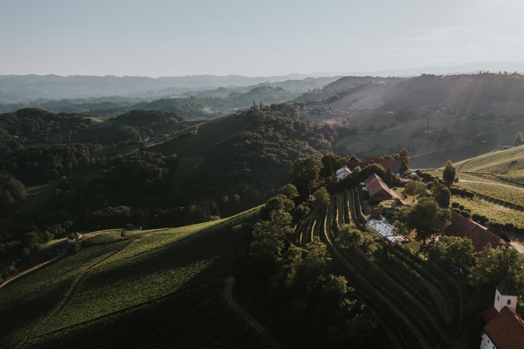 Berghausen Winzarei, Weingut Tementヴィラ エクステリア 写真