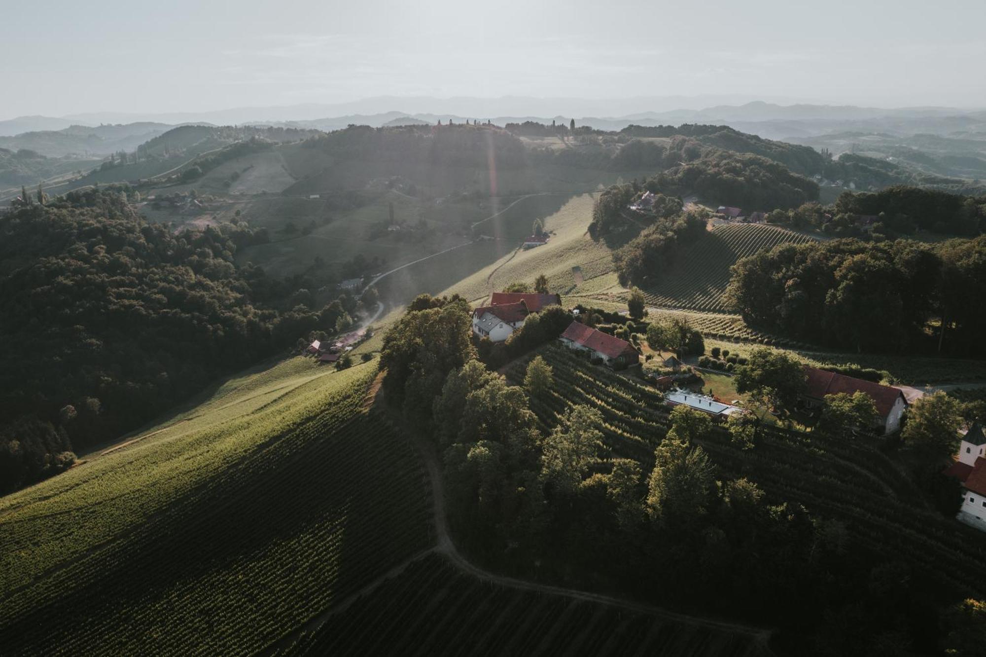 Berghausen Winzarei, Weingut Tementヴィラ エクステリア 写真
