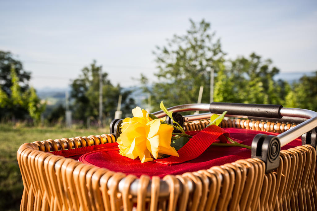 Berghausen Winzarei, Weingut Tementヴィラ エクステリア 写真