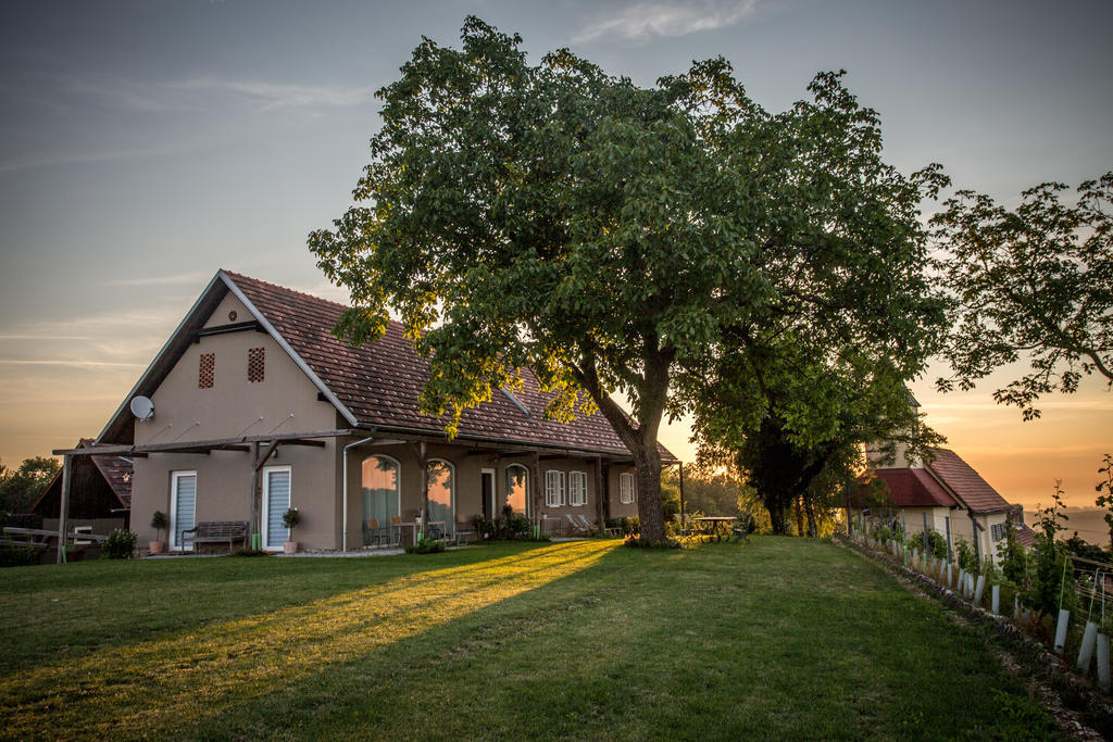 Berghausen Winzarei, Weingut Tementヴィラ エクステリア 写真